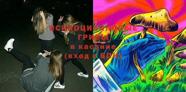 марки nbome Гусь-Хрустальный