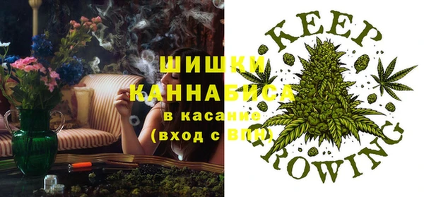 хмурый Гусиноозёрск