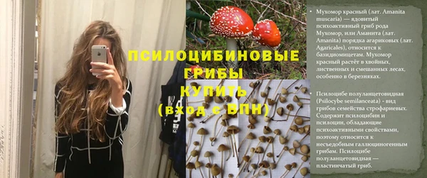 марки nbome Гусь-Хрустальный