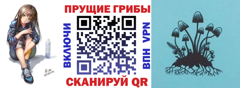 blacksprut tor  наркошоп  Невинномысск  Галлюциногенные грибы мицелий 